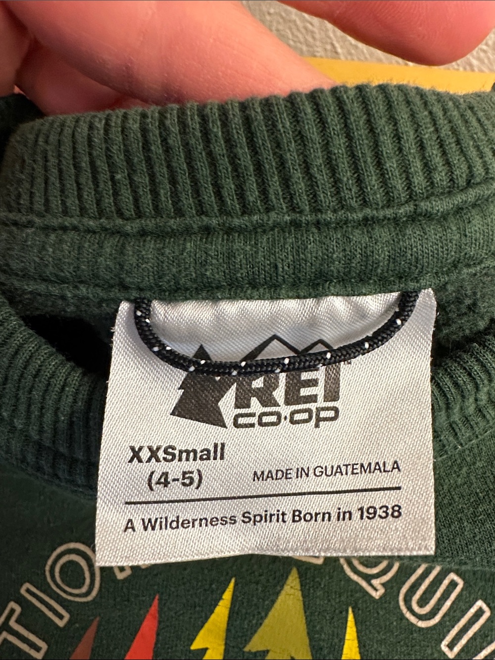 REI Kids Green Graphic Crewneck Sweatshirt with Yellow & Red Accents - Picture 2 of 5